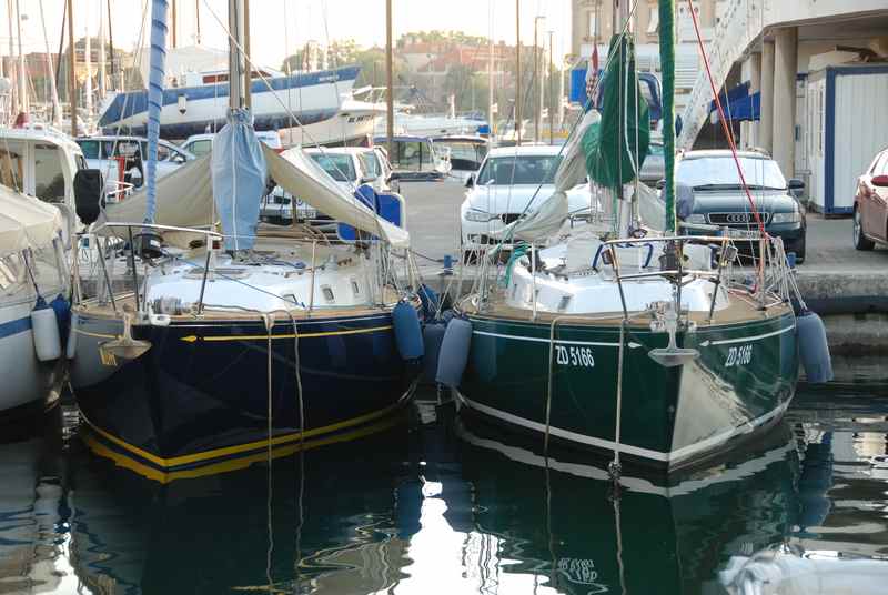 [Immagine: 2012813221341_ALpa a Zara 3.jpg]